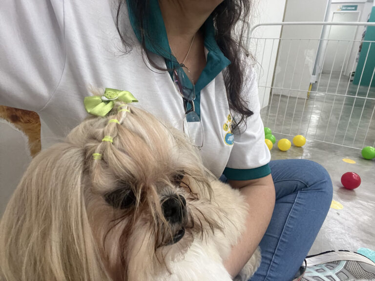 20230125_201701974_iOS