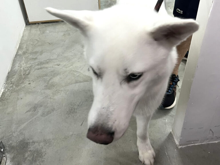 20230130_153056807_iOS