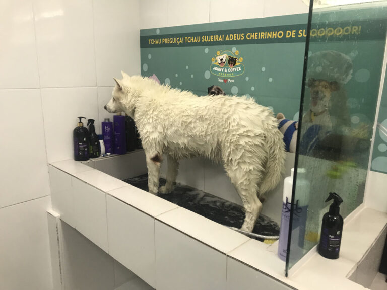 20230130_162237033_iOS