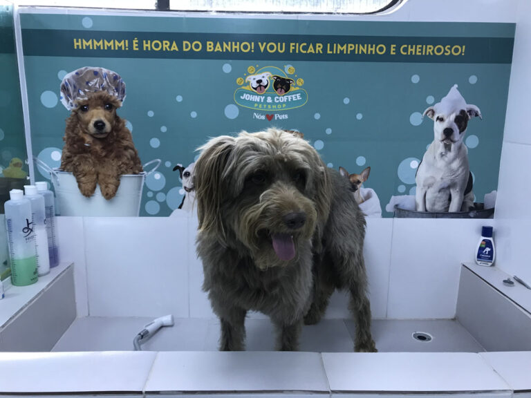 20230223_131642707_iOS