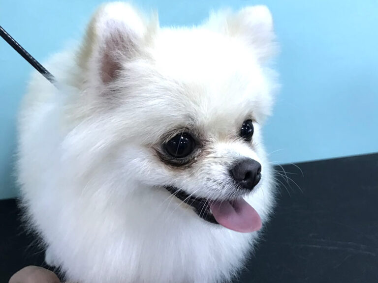 20230303_151525724_iOS