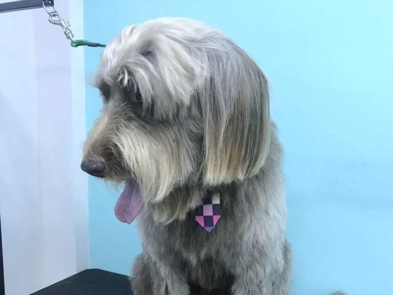 20230303_180840613_iOS