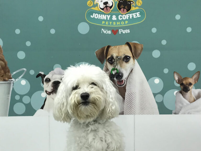 20230314_162712107_iOS